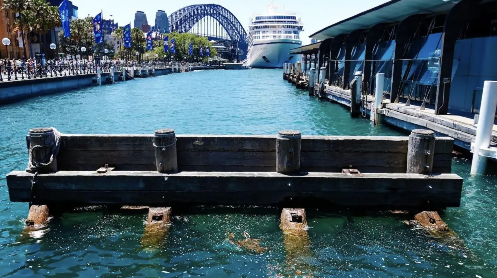 Circular Quay Luggage Storage Guide 2024
